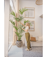 Konstgjord palm Kentia 220 cm