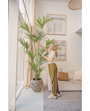 Konstgjord palm Kentia 220 cm