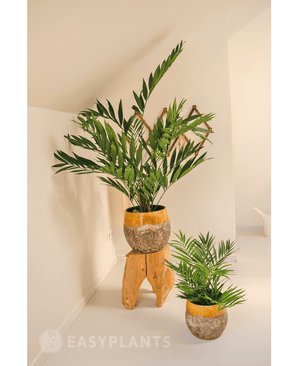 Konstgjord palm Parlour 60 cm