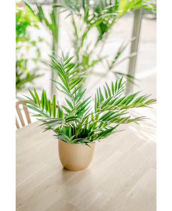 Konstgjord palm Parlour 60 cm