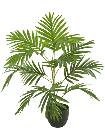 Konstgjord palm Phoenix 65 cm i dekorativ kruka svart