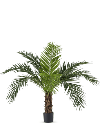 Konstgjord palm Phoenix Canary 160 cm