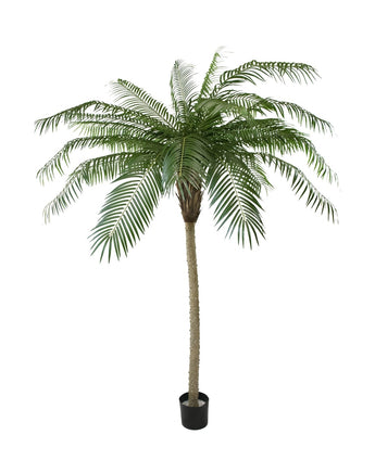 Konstgjord palm Phoenix De Luxe 210 cm