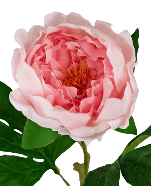 Konstgjord pion Riktig touch Rosa 58cm