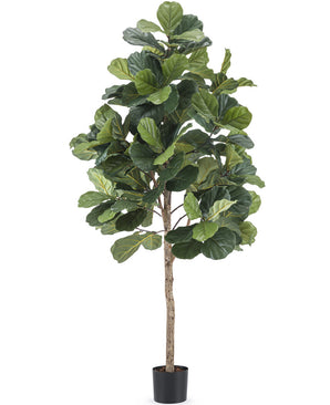 Konstgjord tobaksplanta Ficus Lyrate 180 cm