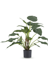 Konstgjord växt Alocasia Cucullata 53 cm