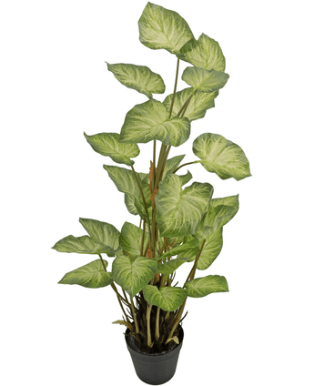 Konstgjord växt Alocasia Odora 90 cm