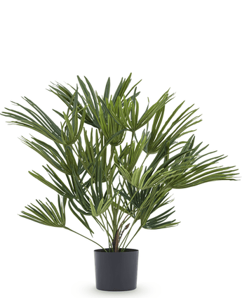 Konstgjord växt Baby Palm Fan i kruka 50 cm