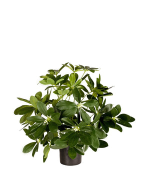 Konstgjord växt Baby Schefflera 45 cm