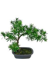 Konstgjord växt Bonsai Podocarpus 40 cm