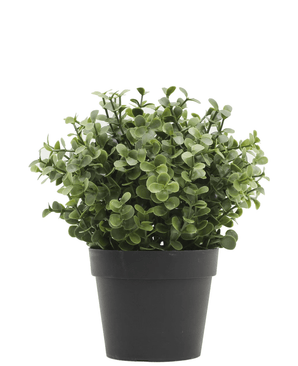 Konstgjord växt Buxus grön i kruka 19 cm UV