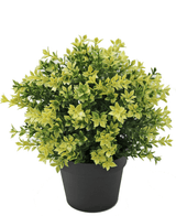 Konstgjord växt Buxus gul 22 cm UV