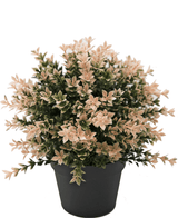 Konstgjord växt Buxus rosa 22 cm UV