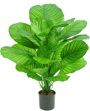 Konstgjord växt Calathea 72 cm