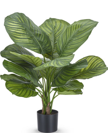 Konstgjord växt Calathea Fasciata 53 cm i kruka