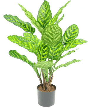 Konstgjord växt Calathea Makoyana 55 cm