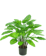 Konstgjord växt Calathea Makoyana 75 cm röd