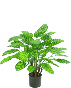 Konstgjord växt Calathea Makoyana Deluxe 75 cm