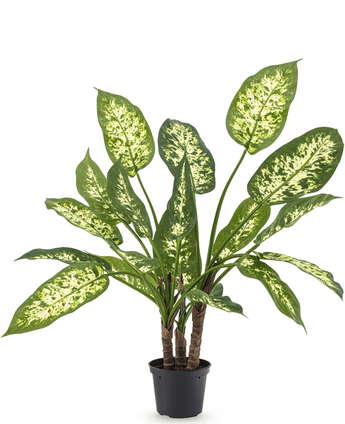 Konstgjord växt Dieffenbachia 60 cm