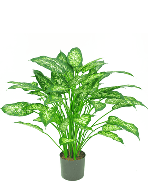 Konstgjord växt Dieffenbachia 75 cm