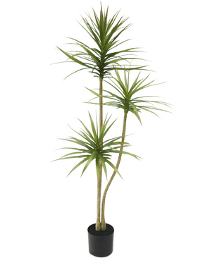 Konstgjord växt Dracaena Fragnans 150 cm