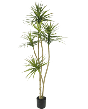 Konstgjord växt Dracaena Fragnans 180 cm