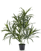 Konstgjord växt Dracaena Reflexa i kruka 63 cm