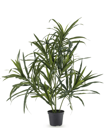 Konstgjord växt Dracaena Reflexa i kruka 63 cm