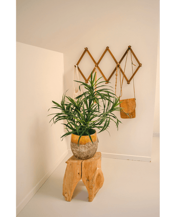 Konstgjord växt Dracaena Reflexa i kruka 63 cm