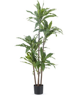 Konstgjord växt Dracena Fragnans 150 cm