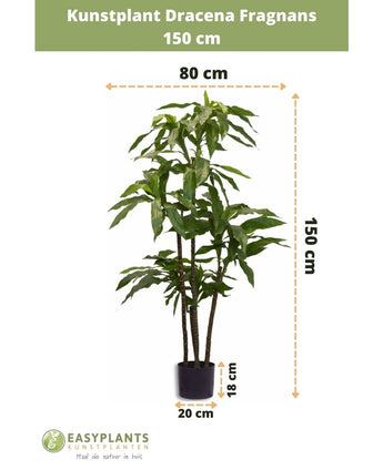 Konstgjord växt Dracena Fragnans 150 cm