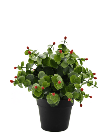 Konstgjord växt Eucalyptus röd i kruka 22 cm UV
