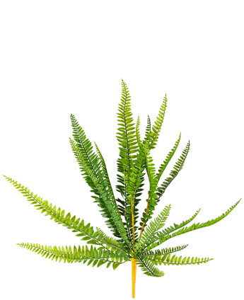 Konstgjord växt Fern 55 cm