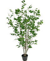 Konstgjord växt Ficus 150 cm