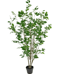 Konstgjord växt Ficus 150 cm