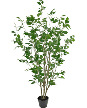 Konstgjord växt Ficus 150 cm