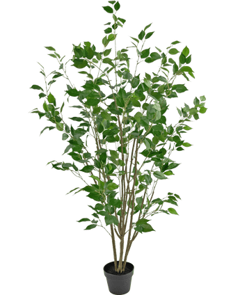 Konstgjord växt Ficus 150 cm