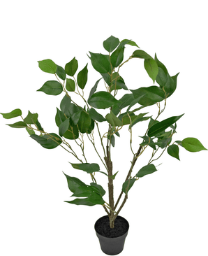 Konstgjord växt Ficus 60 cm