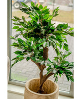 Konstgjord växt Ficus Crazy 120 cm