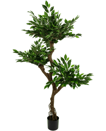 Konstgjord växt Ficus Crazy 150 cm