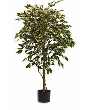 Konstgjord växt Ficus Fur 150 cm