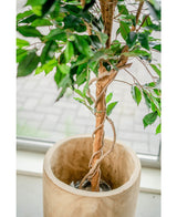 Konstgjord växt Ficus Green 150 cm