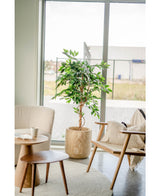 Konstgjord växt Ficus Green 150 cm