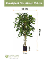 Konstgjord växt Ficus Green 150 cm