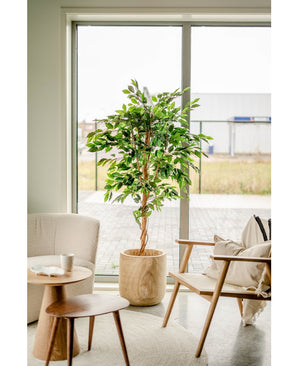 Konstgjord växt Ficus Green 180 cm