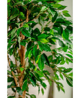 Konstgjord växt Ficus Green 180 cm