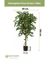 Konstgjord växt Ficus Green 180 cm