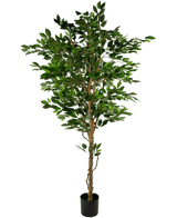 Konstgjord växt Ficus Green 210 cm