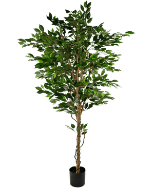 Konstgjord växt Ficus Green 210 cm