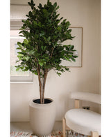 Konstgjord växt Ficus Green 210 cm